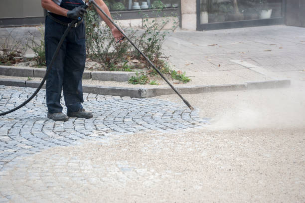 Trusted Arnold, CA Pressure Washing Services Experts